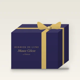 Coloration Mauve Céleste au beurre de mangue – Herbier de Lune, coffret, teinte 4 Châtain