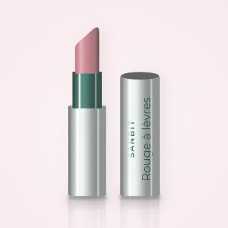 Rouge à lèvres ultra-pigmenté à l'huile de ricin – Sanbit, étui 3,8 g, teinte 04 Rose poudré